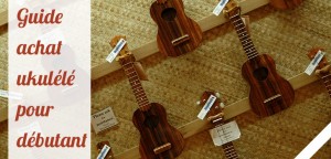 guide-achat-ukulele-debutant