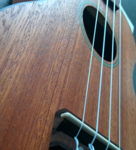 wiki-ukulele-debutant-2