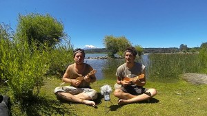 Joueur ukulele voyage