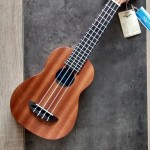 Ukulele ukebox gagner