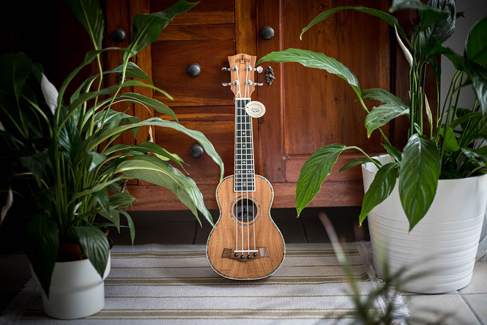 ukulele-05